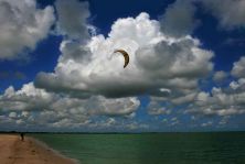 windfang.jpg